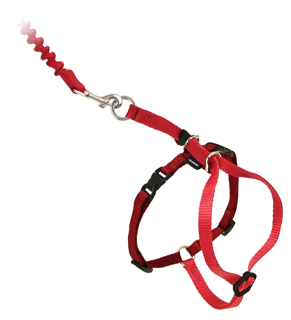 Two adjustable points on the PetSafe harness for a snug cat-specific fit