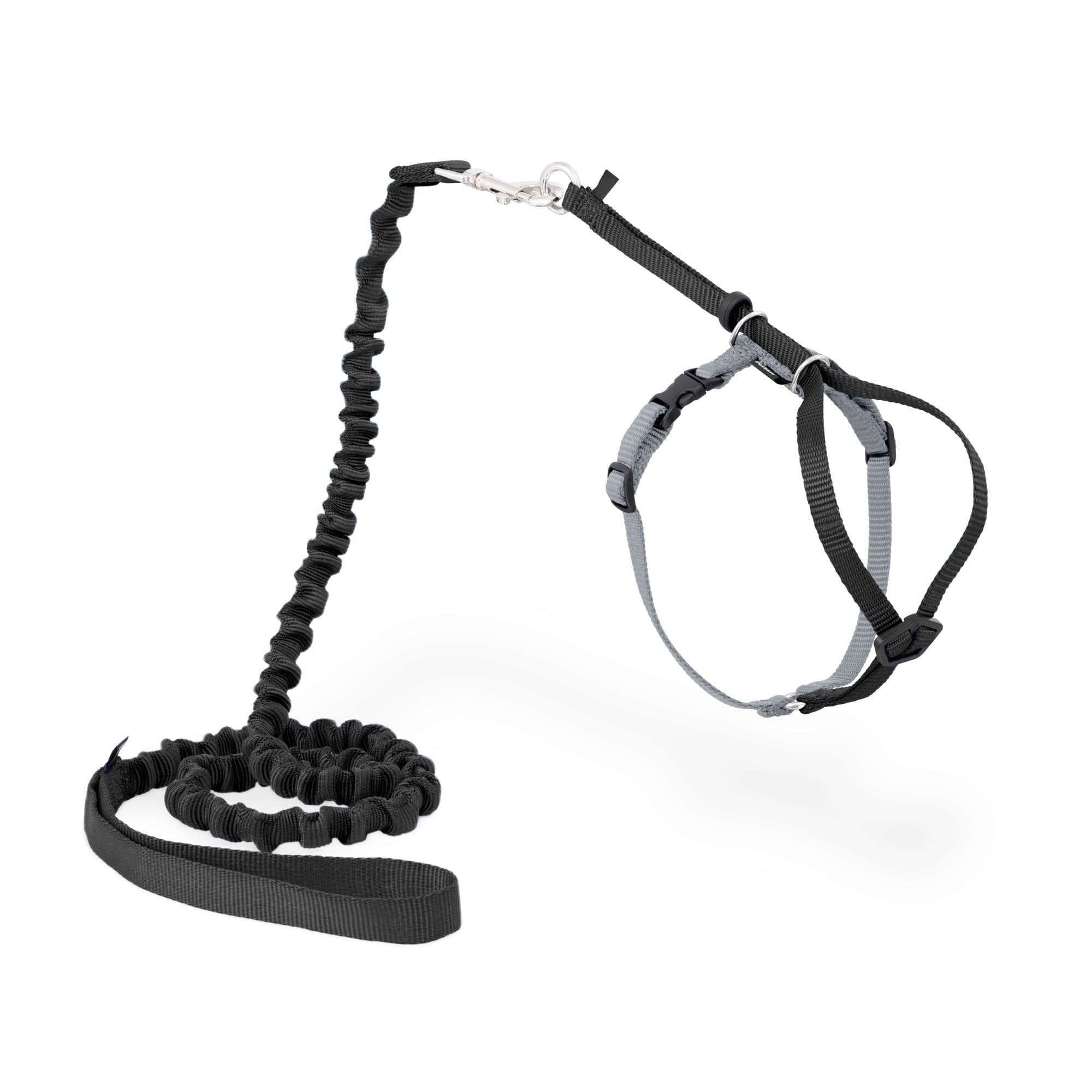 PetSafe Come With Me Kitty Harness and Bungee Leash shown with adjustable fit on a cat.