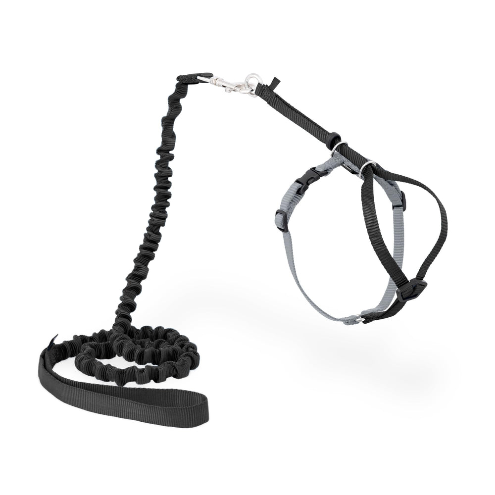 PetSafe Come With Me Kitty Harness and Bungee Leash shown with adjustable fit on a cat.