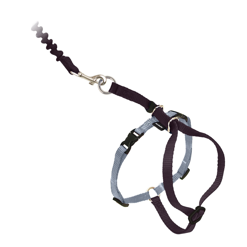 PetSafe Come With Me Kitty Harness close-up showing adjustable fit for comfy outdoor walks