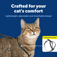 PetSafe harness showing shoulder-strap design for gentle control