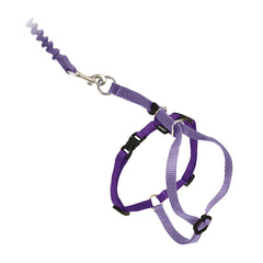 PetSafe Come With Me Kitty Harness and bungee leash in use for calm garden strolls