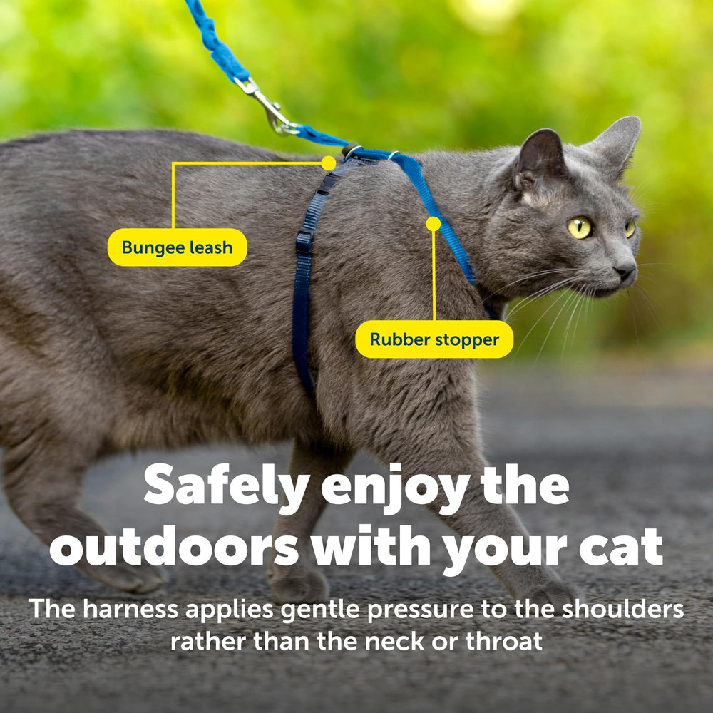 Petsafe harness designed for large cats ensuring secure fit