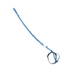 PetSafe Come With Me Kitty Harness main image for safe outdoor walks.