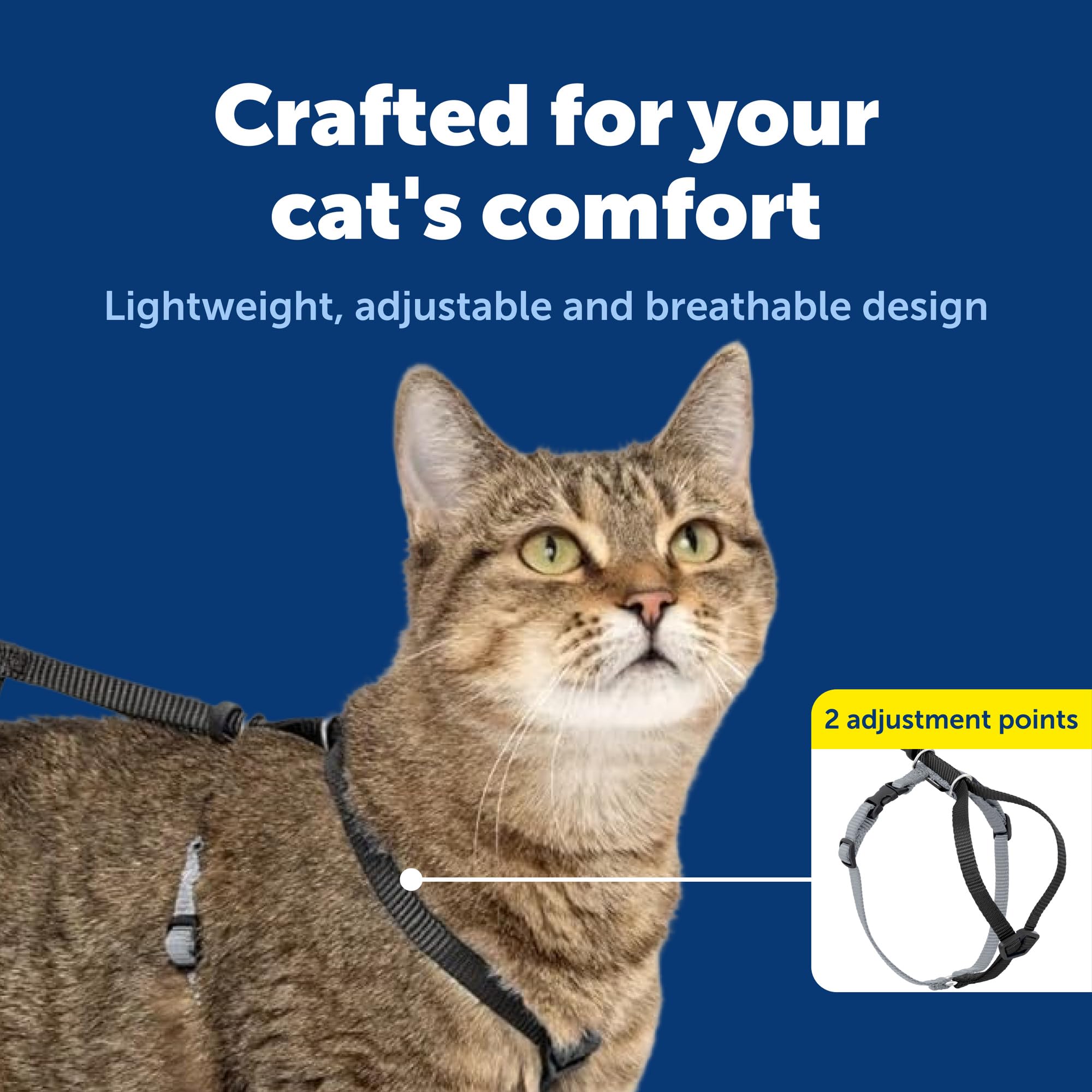 Petsafe Come With Me Kitty Harness on a cat during outdoor walk