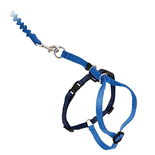 Petsafe harness shoulder-pressure design reducing neck strain during outdoor rides