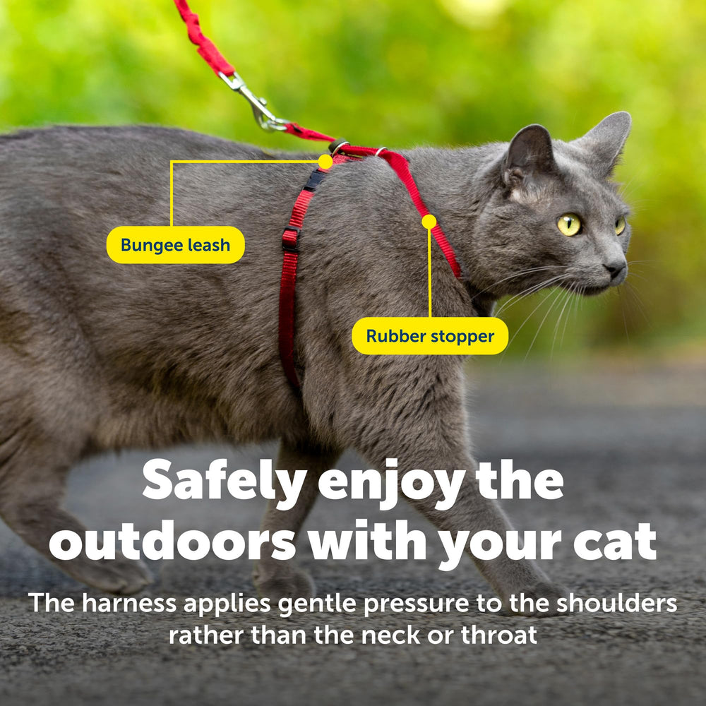 The harness supports safe outdoor exploration for your cat with PetSafe.
