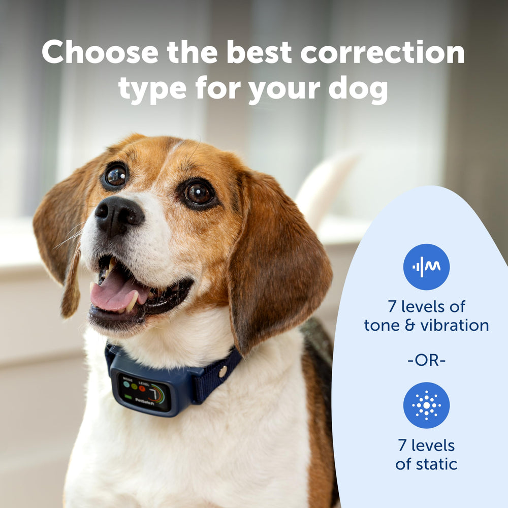 PetSafe Core Digital Bark Collar adjustable nylon band fits many sizes for versatile training
