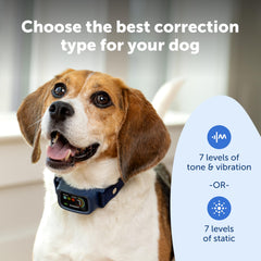 PetSafe Core Digital Bark Collar adjustable nylon band fits many sizes for versatile training