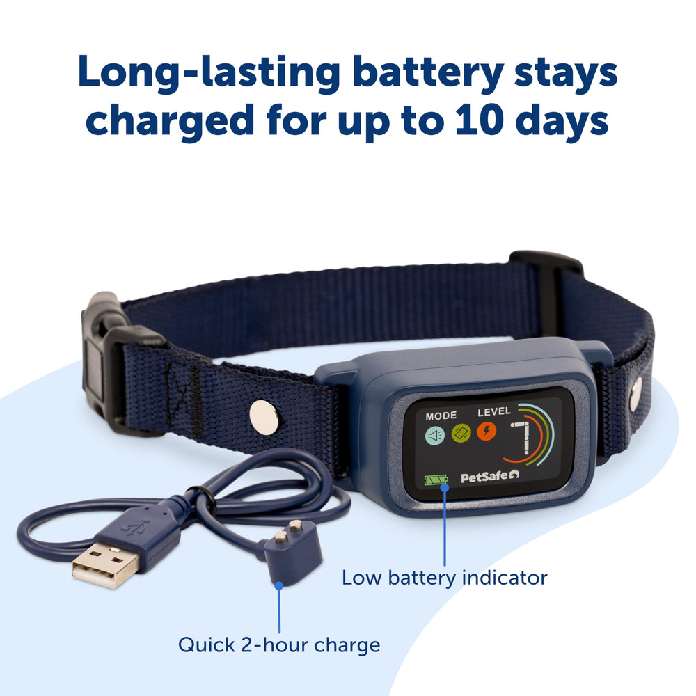 PetSafe Core Digital Bark Collar seven static levels for customized sensitivity