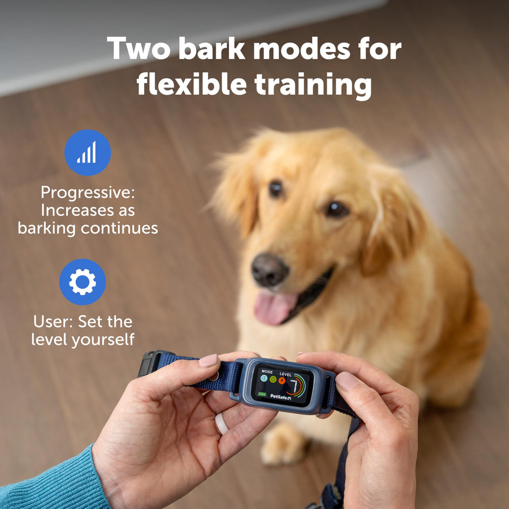 PetSafe Core Digital Bark Collar waterproof IPX7 design for indoor or outdoor use