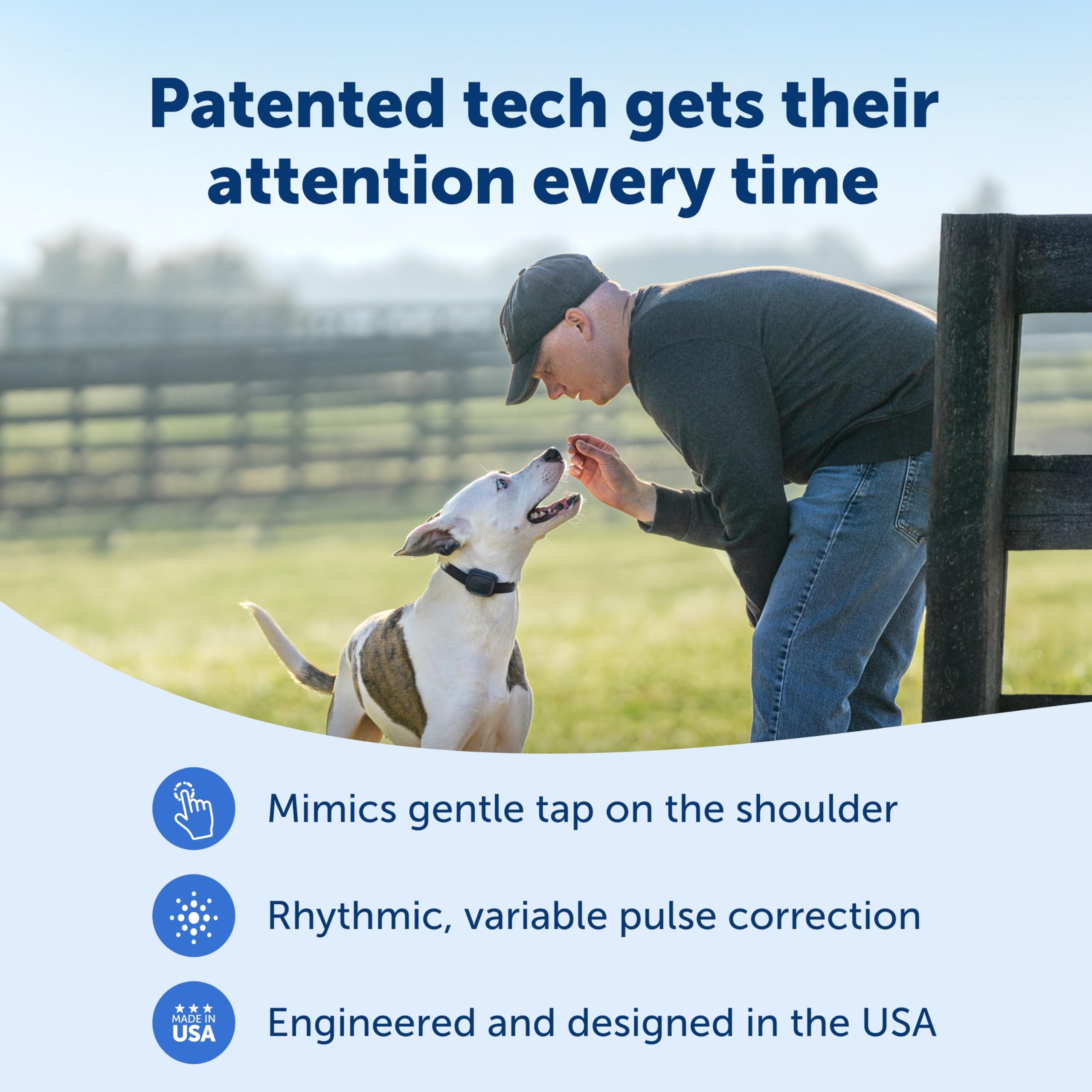 PetSafe Core three-modes setup helps tailor training to your dog