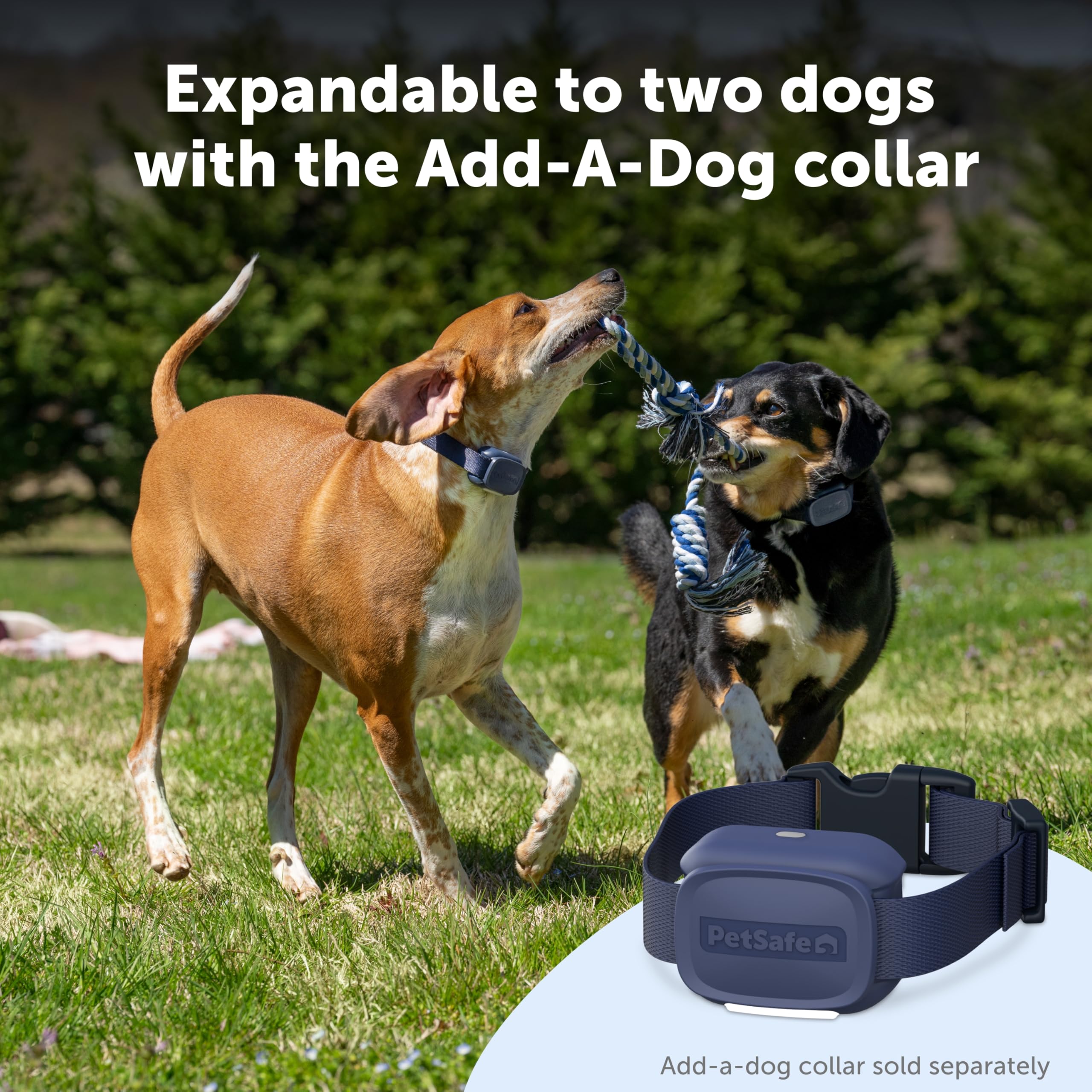 PetSafe Core trainer trusted by vets for safe, effective training