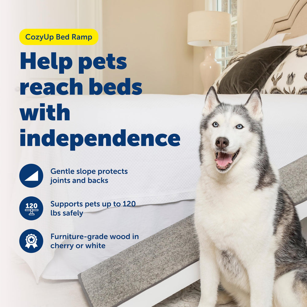 PetSafe CozyUp bed ramp white finish complements modern bedrooms while providing safe climb.