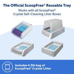 Petsafe crystal-litter-urine-absorption visual: rapid absorption for odor control.