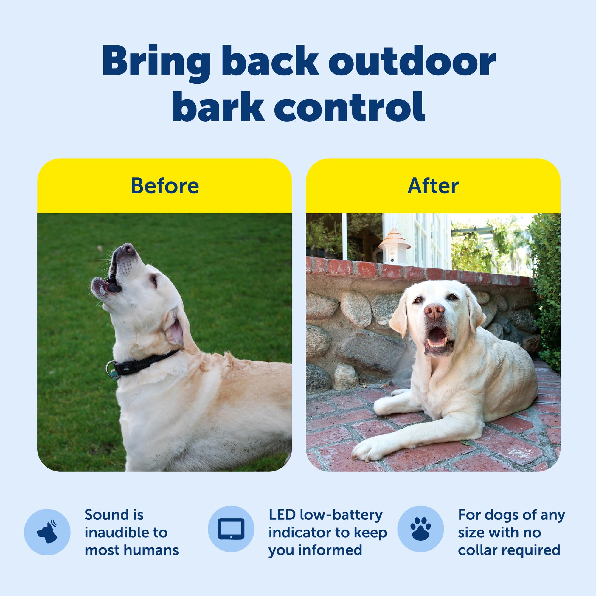 PetSafe timer display enables scheduled activation for energy efficiency.