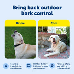 PetSafe timer display enables scheduled activation for energy efficiency.