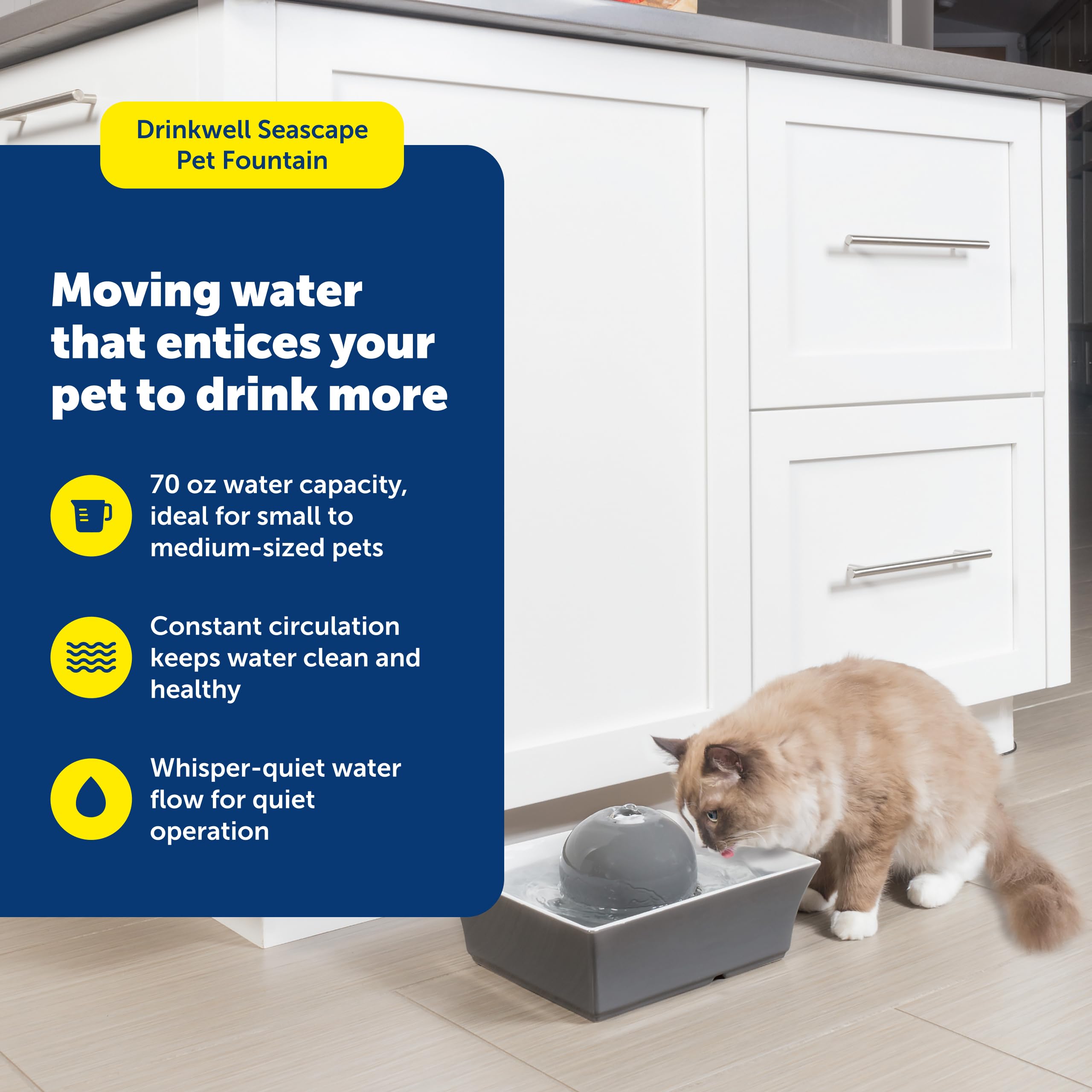PetSafe Drinkwell ceramic fountain water flow demonstrating continuous circulation