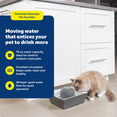 PetSafe Drinkwell ceramic fountain water flow demonstrating continuous circulation