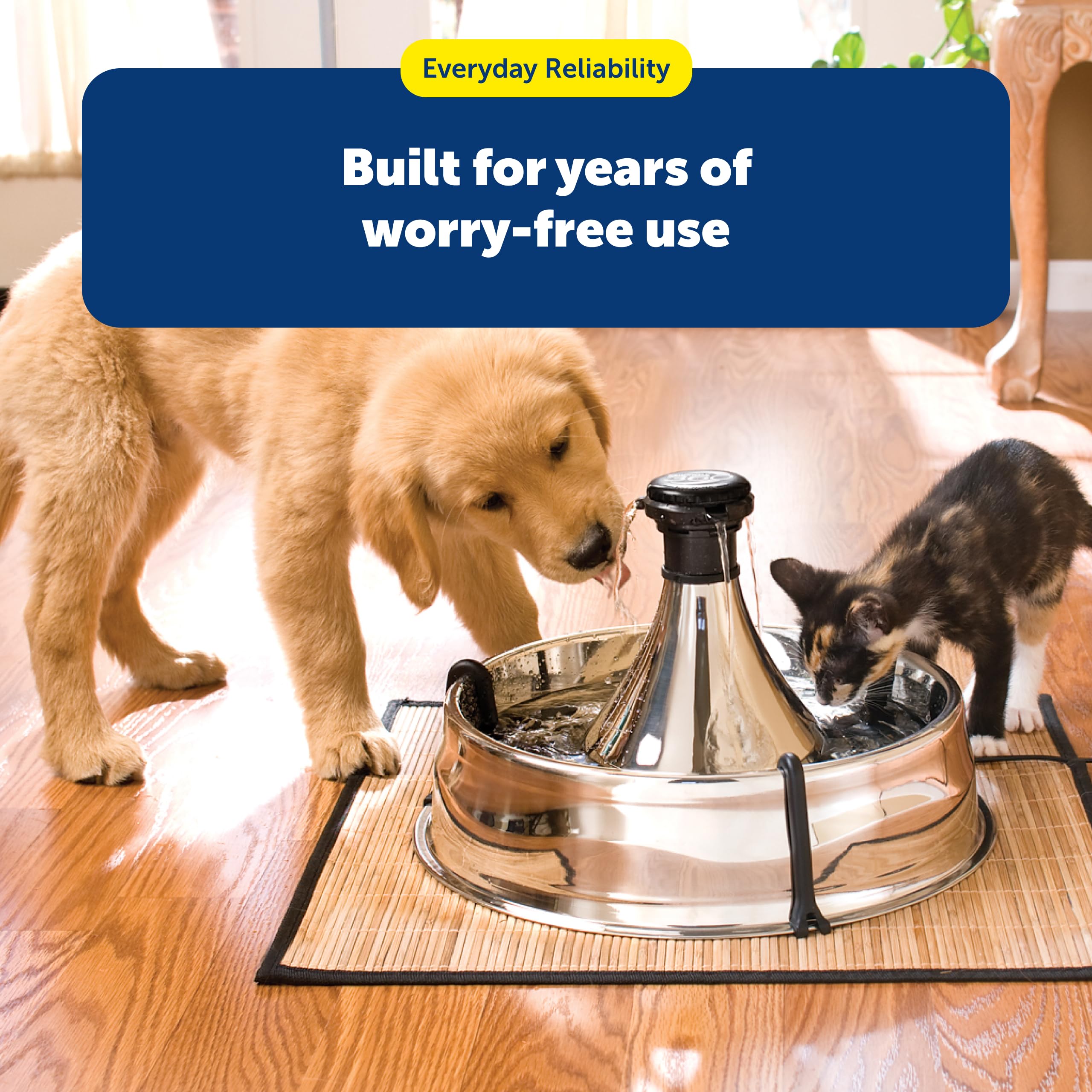 PetSafe Drinkwell dishwasher-safe top rack for easy cleaning