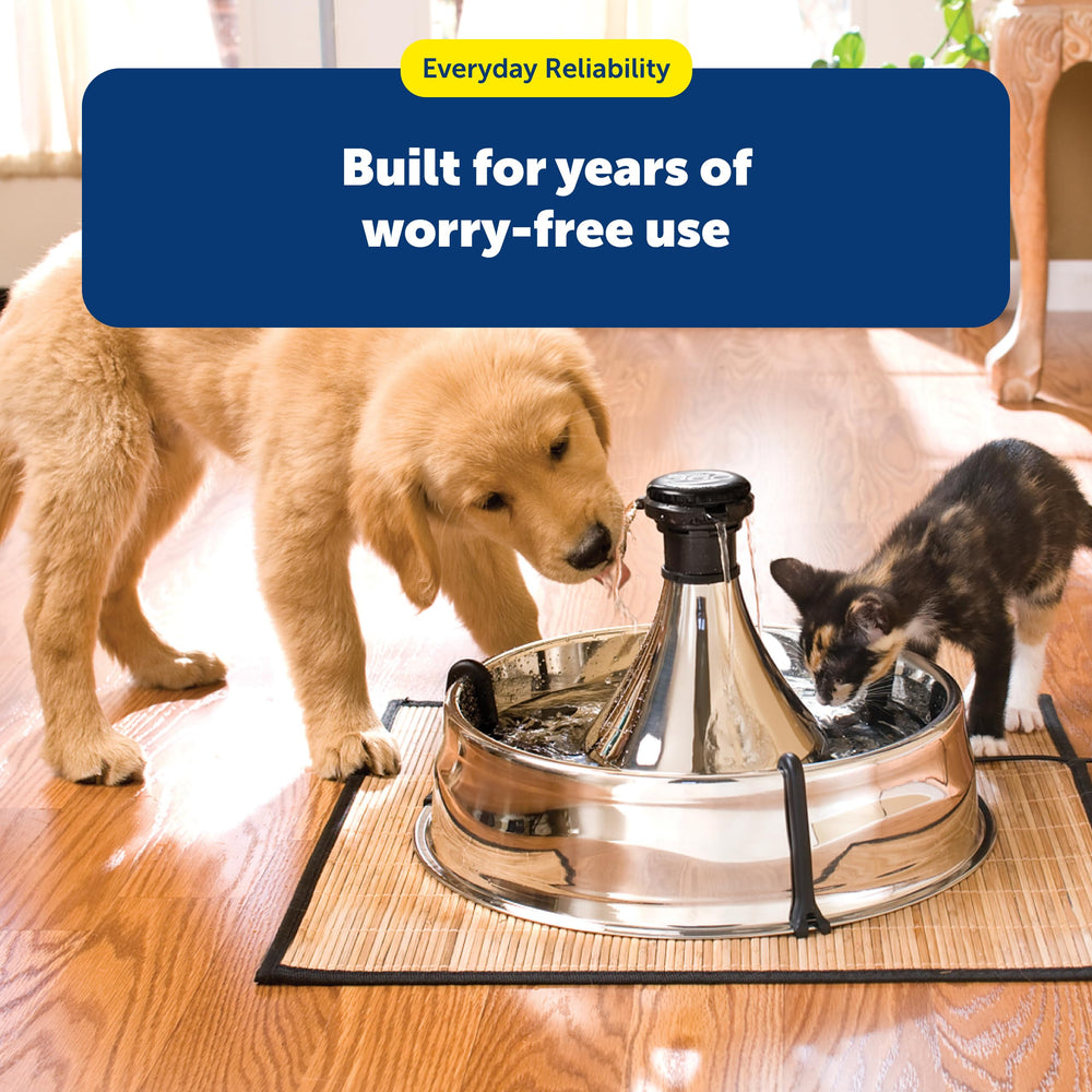 PetSafe Drinkwell dishwasher-safe top rack for easy cleaning