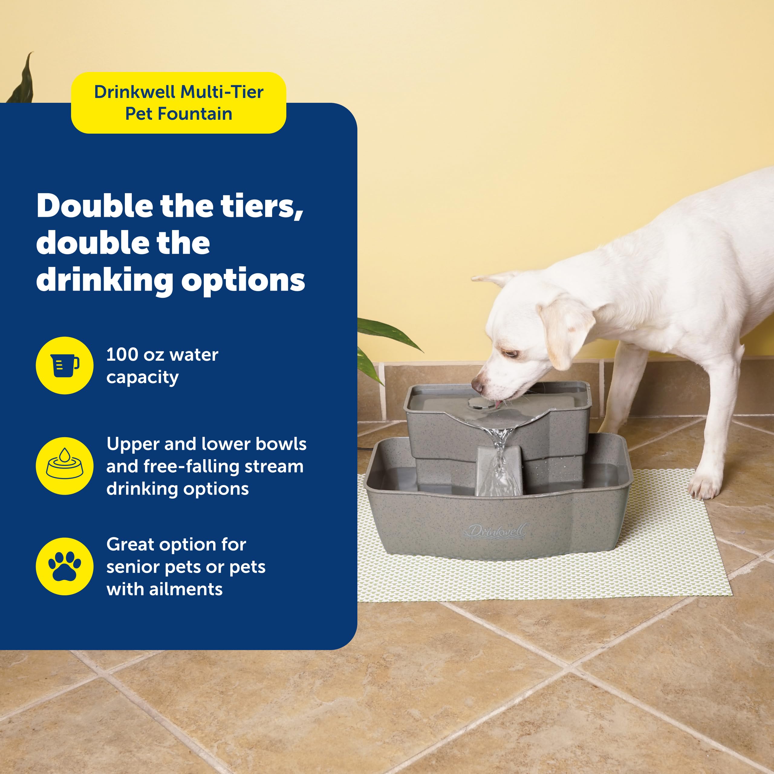 PetSafe Drinkwell Multi-Tier Fountain lower bowl for comfortable drinking height.