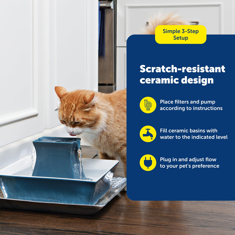 PetSafe Drinkwell Pagoda elevated bowl aids seniors and arthritic pets