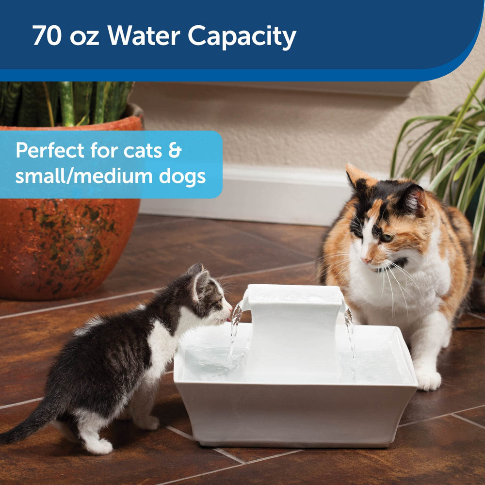 Petsafe Drinkwell Pagoda with two streams for easy drinking habits.