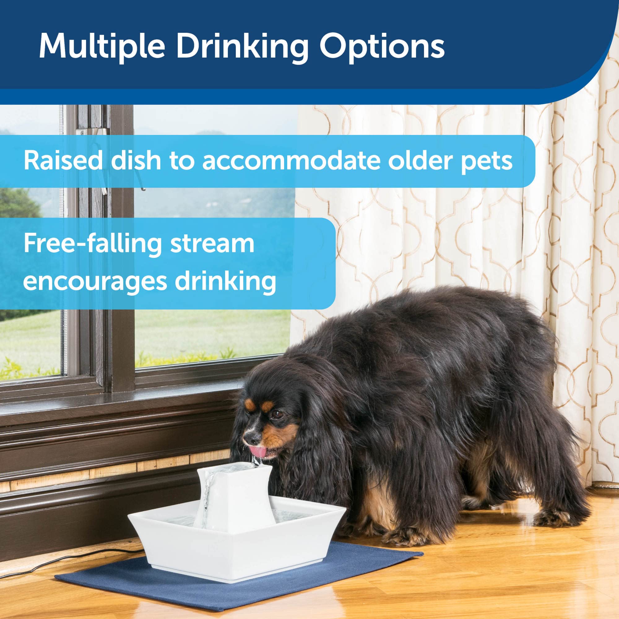Petsafe Drinkwell Pagoda elevated bowl suited for seniors and arthritic pets.