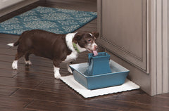 PetSafe Drinkwell Pagoda side view emphasizing dual streams encouraging drinking