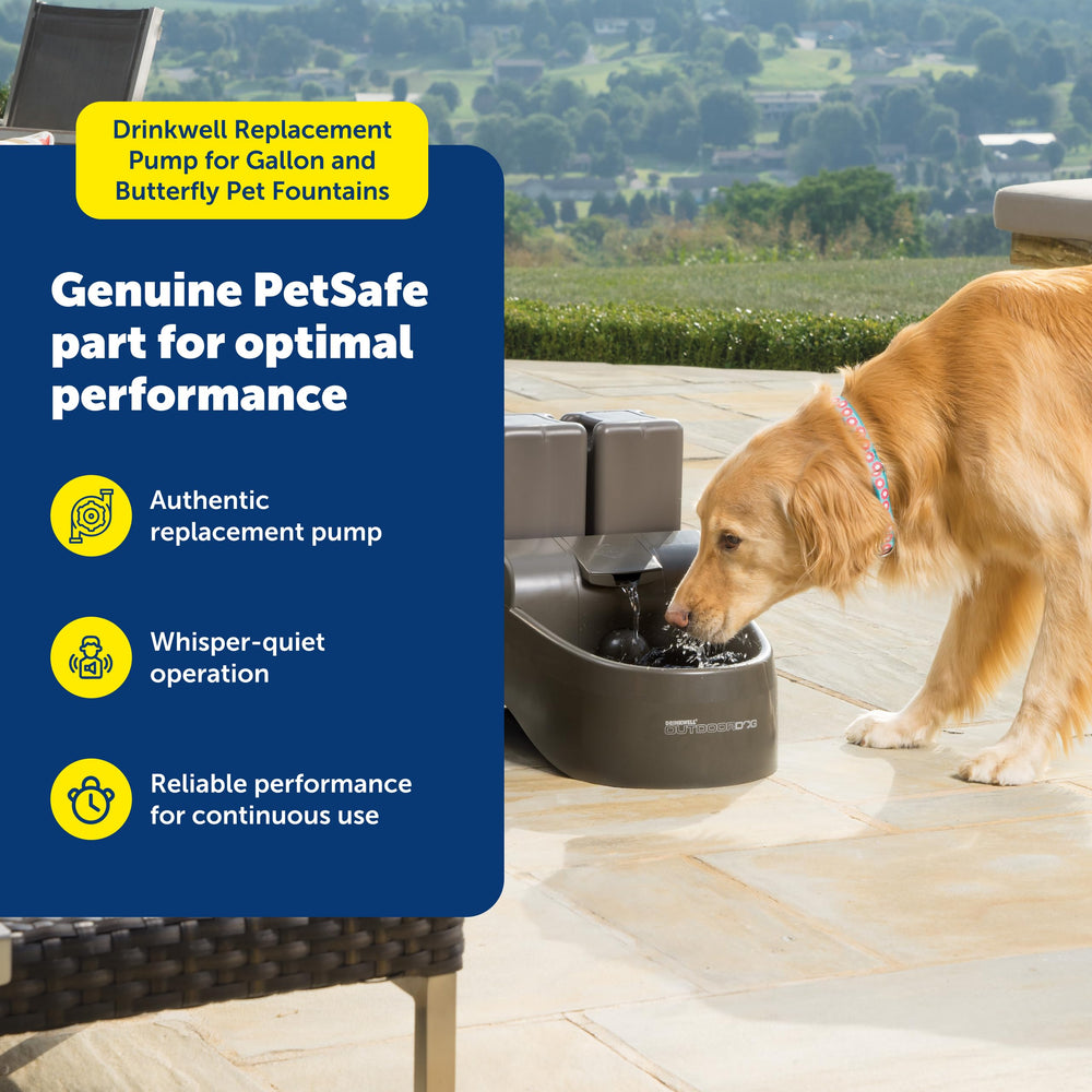 PetSafe Drinkwell pump submersible motor shown for smooth water circulation