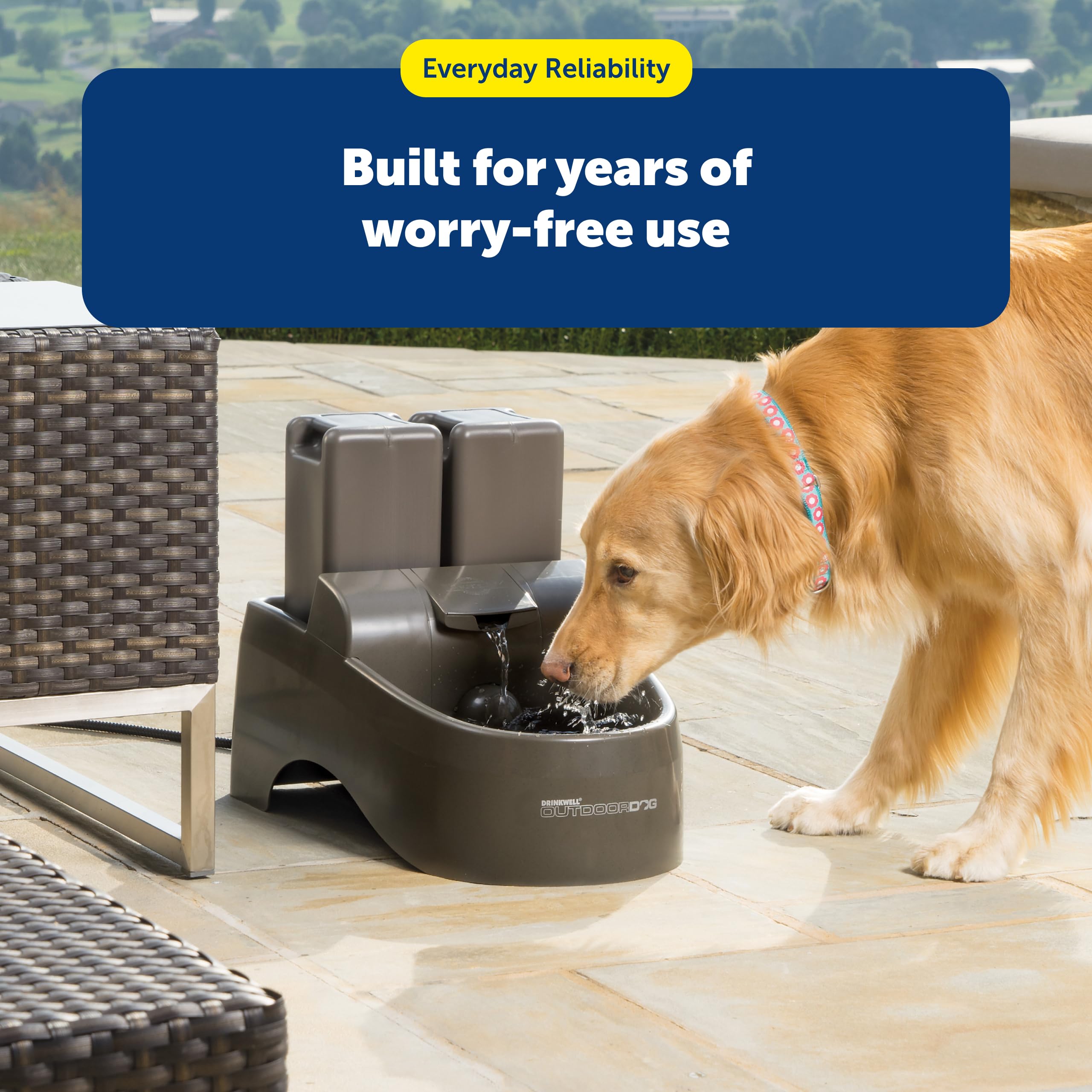 PetSafe Drinkwell pump demonstrating water flow and hydration support