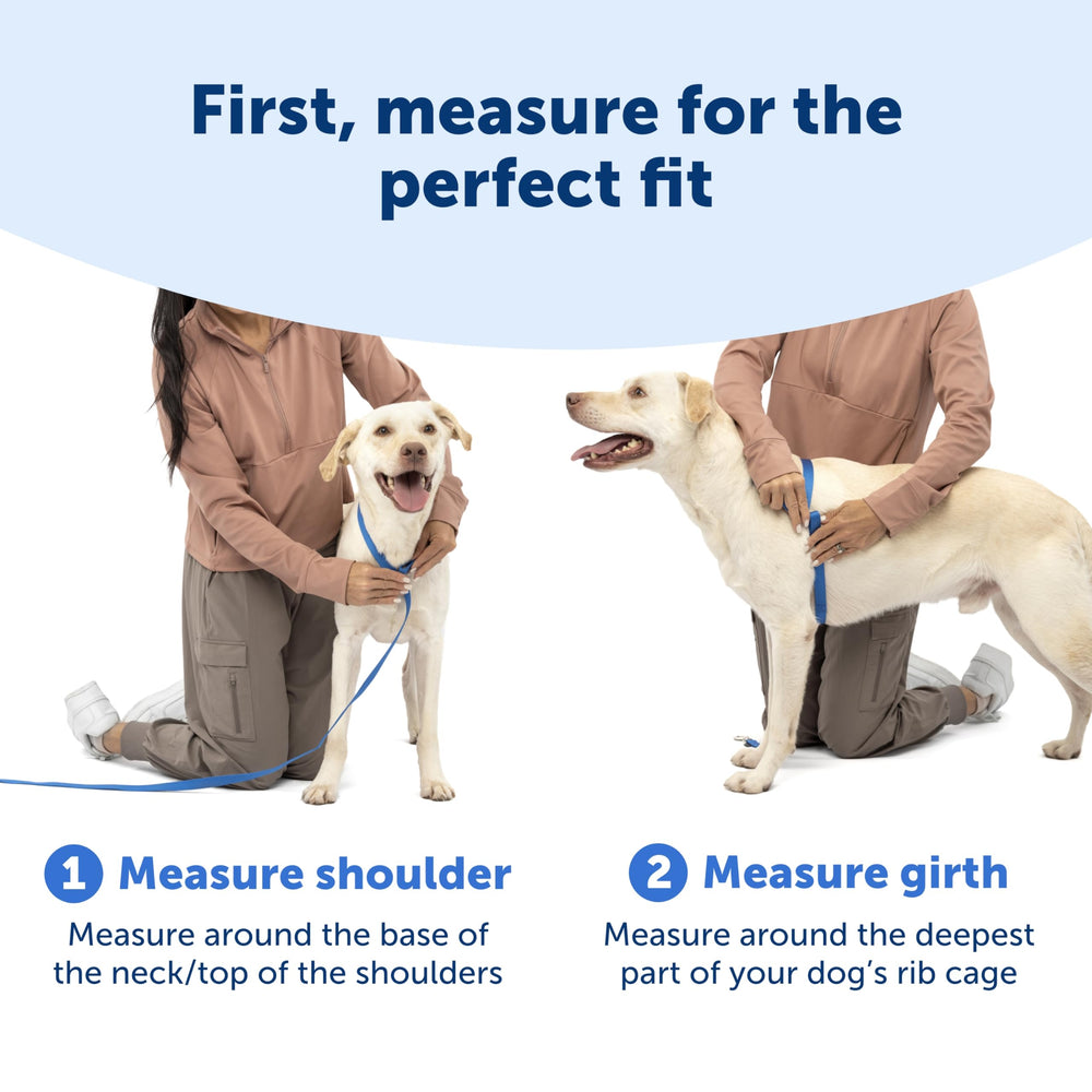 PetSafe Easy Walk 5-point adjustability fits most breeds for a secure fit