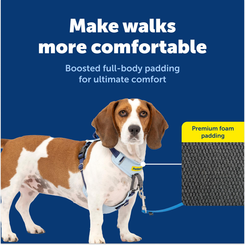 Back-clip in use for faster-paced activities with the PetSafe Easy Walk Harness.