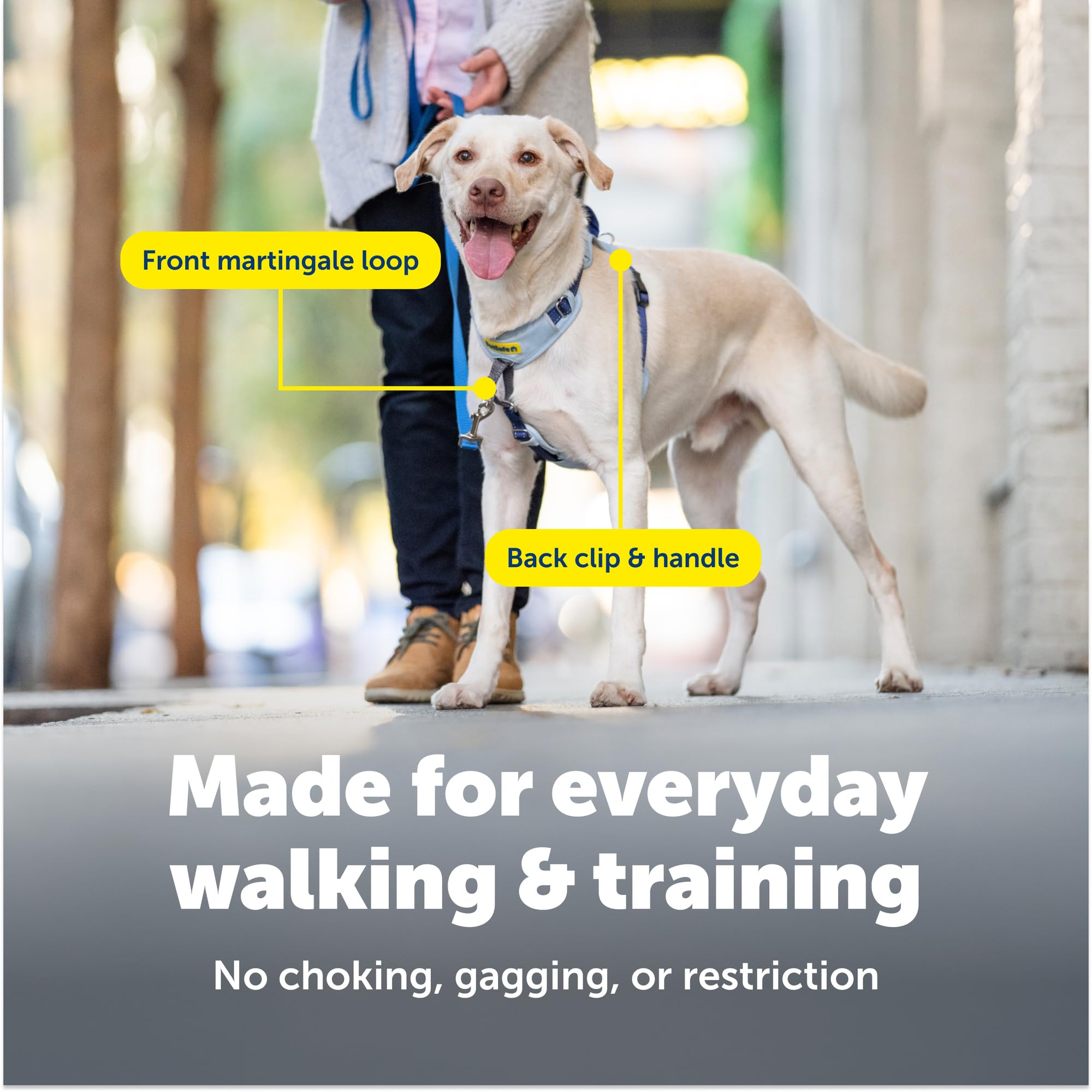 PetSafe Easy Walk back-clip ideal for runs and fast walks