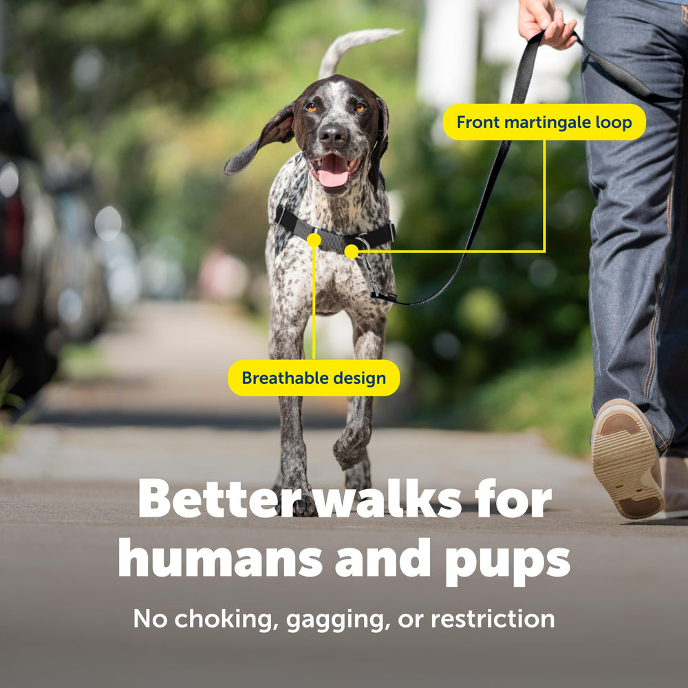 PetSafe Easy Walk back clip supports faster-paced activities.