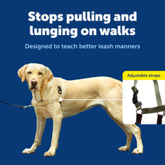 Petsafe Easy Walk breathable fit keeps dogs cool on long strolls.