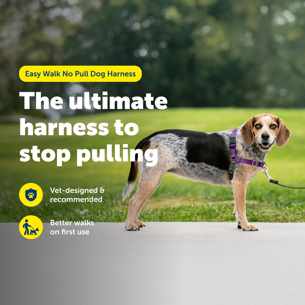 Petsafe Easy Walk chest design distributes pressure for comfort