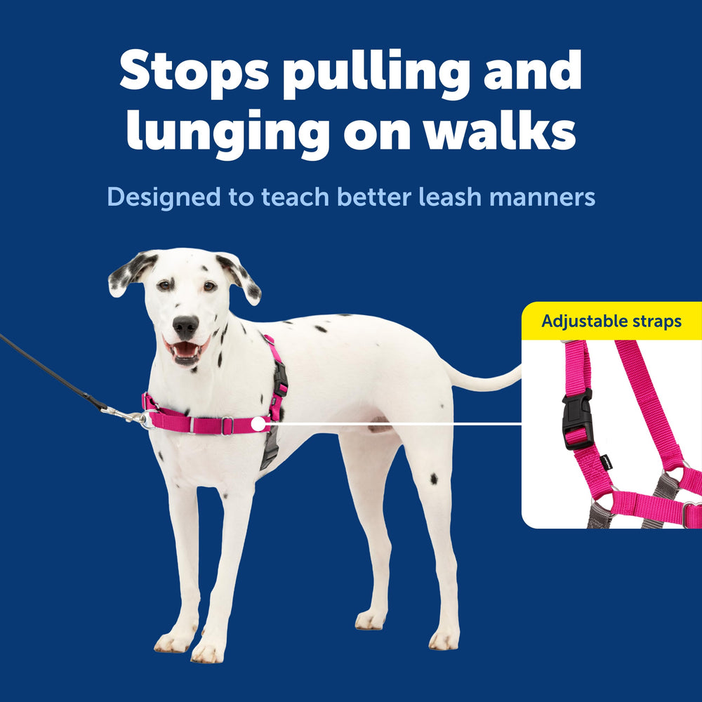 PetSafe Easy Walk chest-rest harness reduces neck pressure
