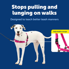 PetSafe Easy Walk chest-rest harness reduces neck pressure