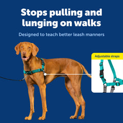 PetSafe Easy Walk chest-resting strap provides breathable comfort during strolls.
