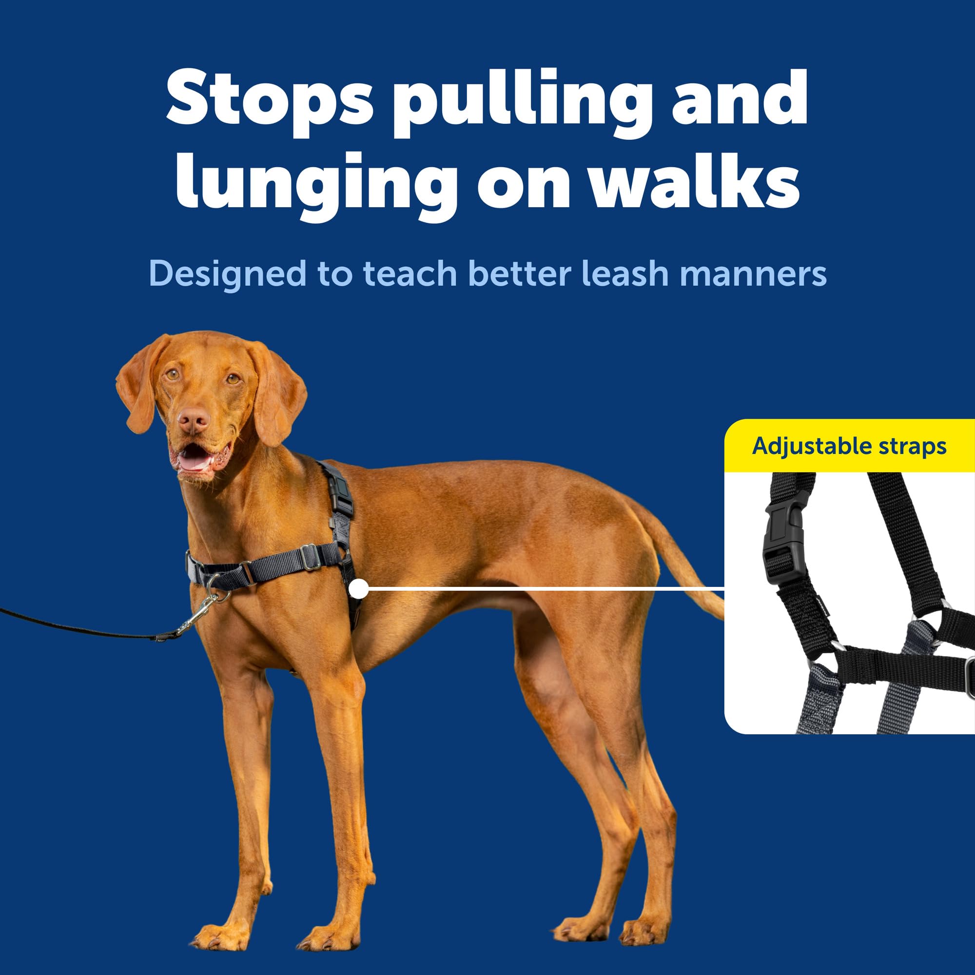 PetSafe Easy Walk chest-strap fit for comfortable, neck-free walking