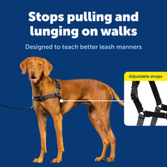 PetSafe Easy Walk chest-strap fit for comfortable, neck-free walking