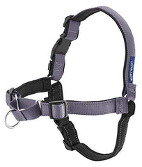 Chest strap on PetSafe Easy Walk Deluxe providing secure, comfortable control
