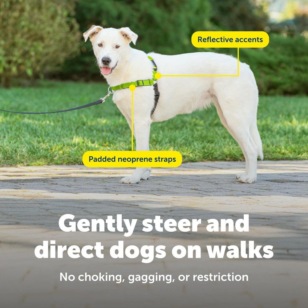 PetSafe Easy Walk Deluxe front chest leash attachment guides movement