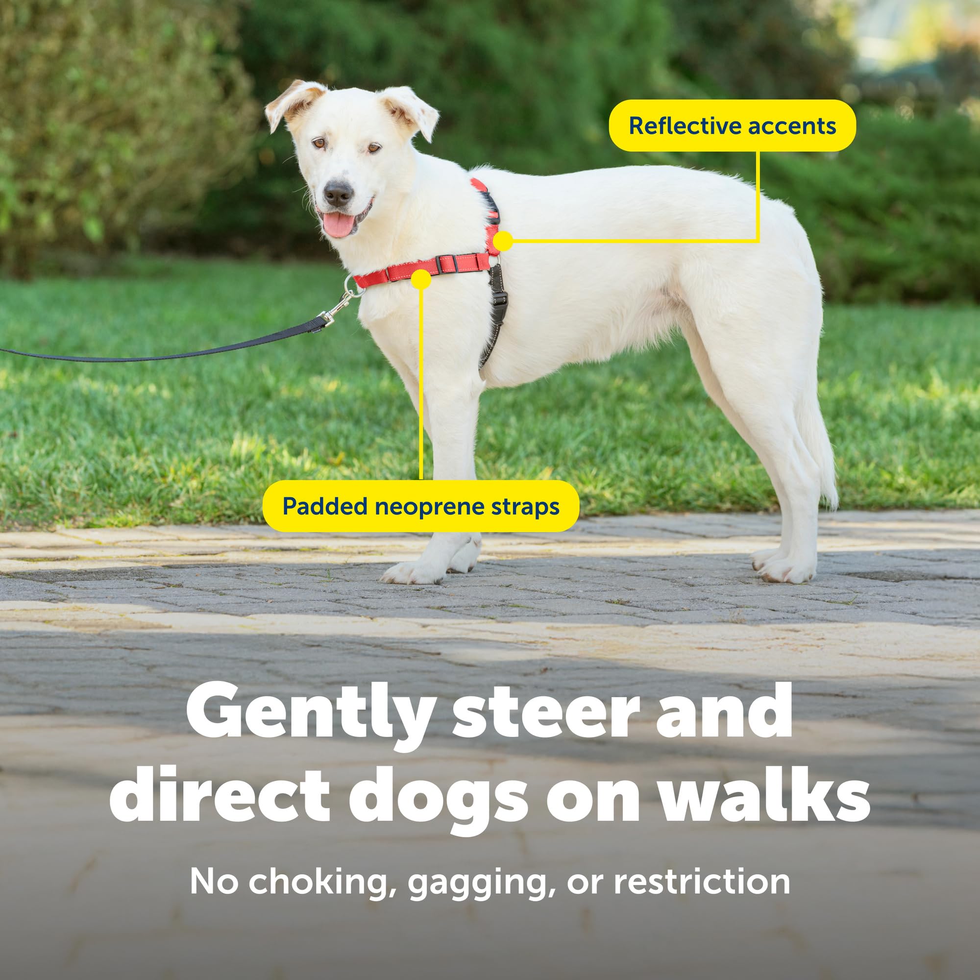 PetSafe Easy Walk Deluxe front-chest martingale loop supports training without harsh pull