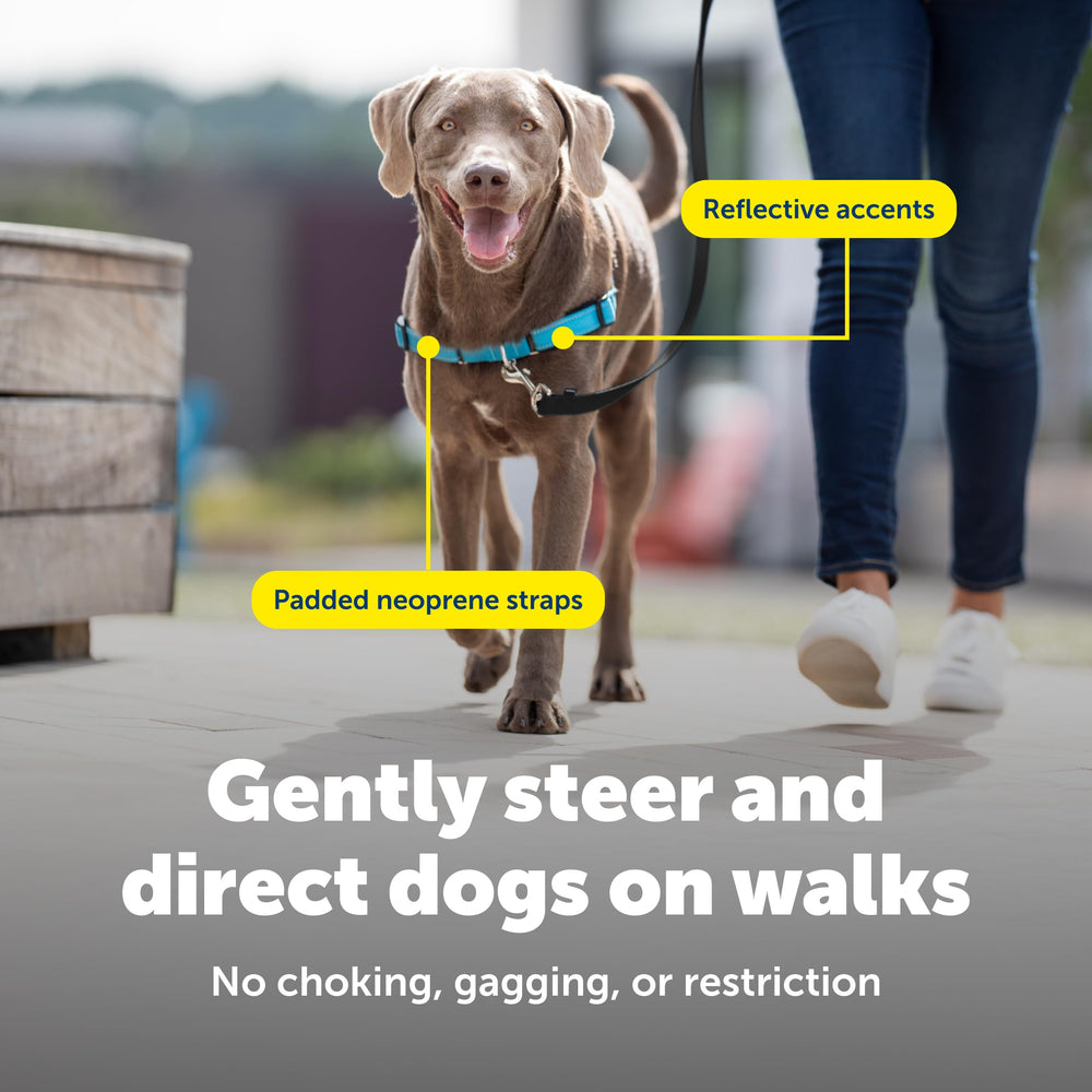 PetSafe Easy Walk Deluxe chest-focused design reduces throat discomfort.