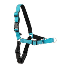 PetSafe Easy Walk Deluxe front-clip harness on dog for no-pull training