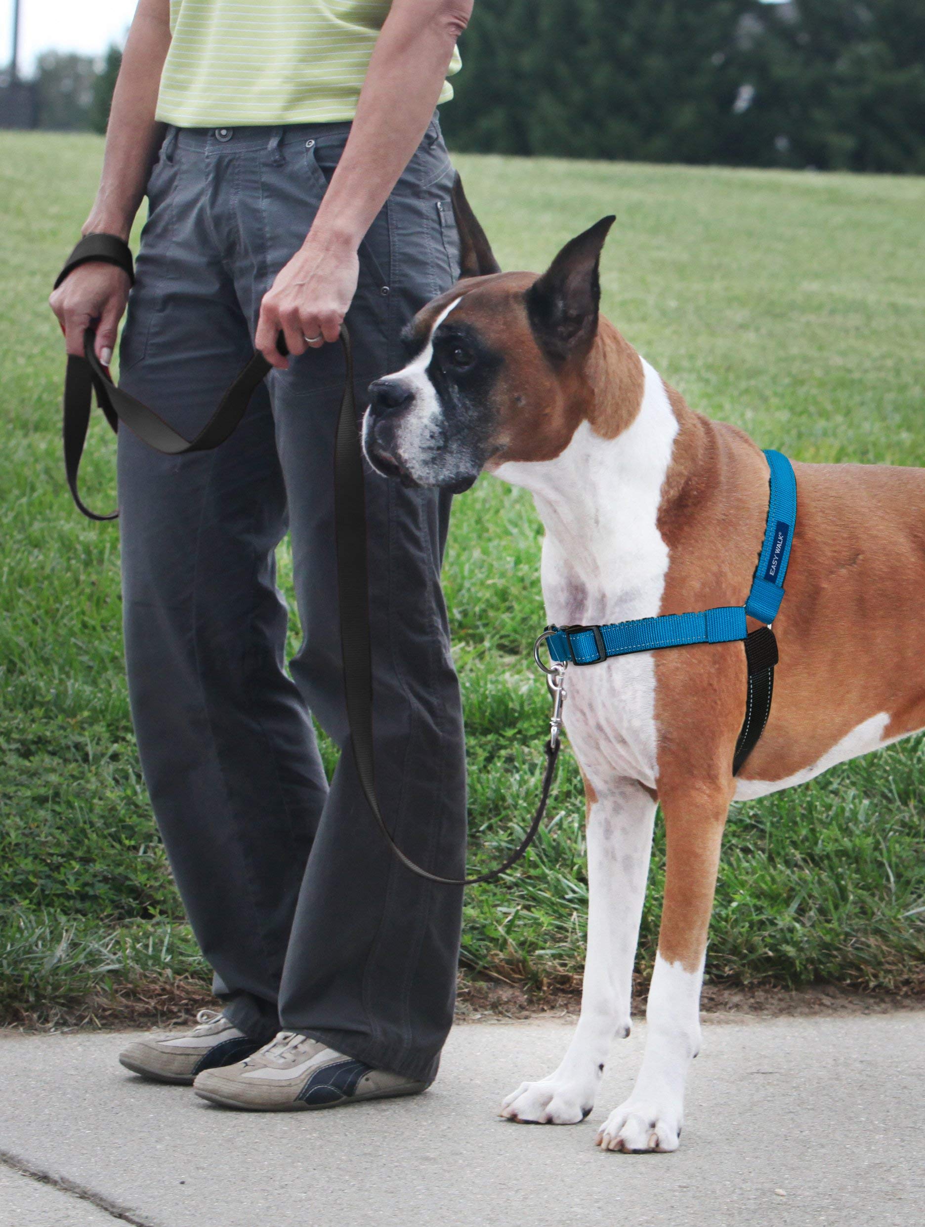 PetSafe Easy Walk Deluxe harness neoprene straps provide cool, comfortable walks
