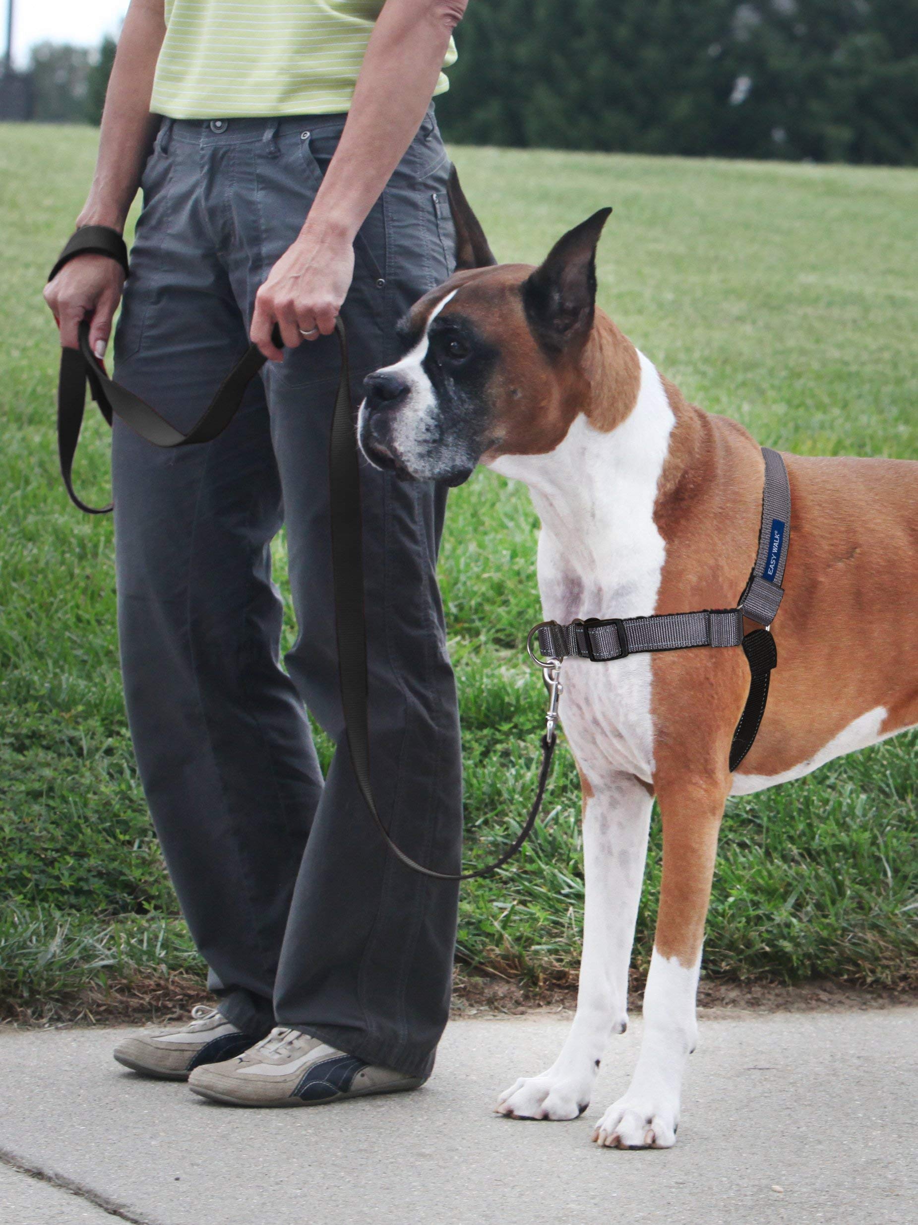 PetSafe Easy Walk Deluxe with padded neoprene straps for cool comfort